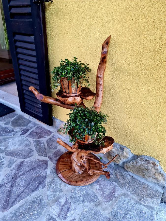 Casa Villanova Homes Nova Vas nad Dragonjo Kültér fotó